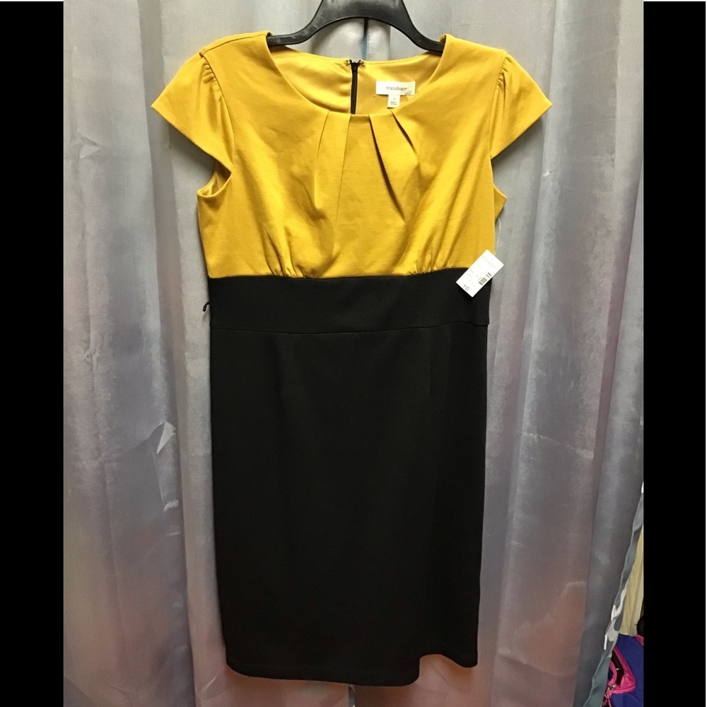 Dress barn dress NWT